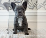 Image preview for Ad Listing. Nickname: Smokey