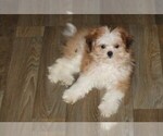 Small Mi-Ki
