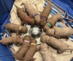 Small Photo #14 Goldendoodle (Miniature) Puppy For Sale in LINWOOD, MI, USA