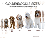 Small #7 Goldendoodle mix (+ Poodle Miniature)