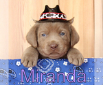 Image preview for Ad Listing. Nickname: Miranda