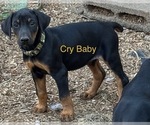 Image preview for Ad Listing. Nickname: Cry Baby