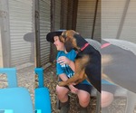 Small #1 Mutt