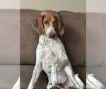 Small Mutt