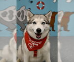 Small #3 Breeder Profile image