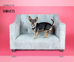 Small #8 Chihuahua