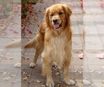 Small #3 Breeder Profile image