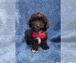 Image preview for Ad Listing. Nickname: Evan