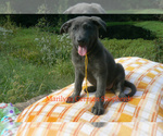 Image preview for Ad Listing. Nickname: Sunrise Woods