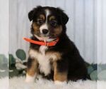Image preview for Ad Listing. Nickname: Gerald