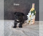 Image preview for Ad Listing. Nickname: Blake