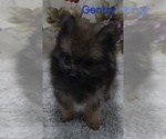 Image preview for Ad Listing. Nickname: Gentry