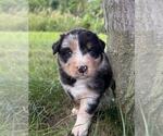 Image preview for Ad Listing. Nickname: Meadow