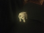 Small Photo #1 Chiranian Puppy For Sale in GREENVILLE, SC, USA