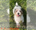 Image preview for Ad Listing. Nickname: Hunter