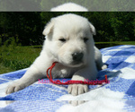 Image preview for Ad Listing. Nickname: MissRaspberries
