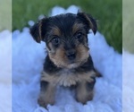 Image preview for Ad Listing. Nickname: Miah