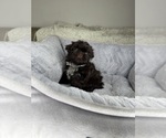 Image preview for Ad Listing. Nickname: Helmsley
