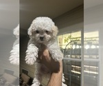 Image preview for Ad Listing. Nickname: Leah