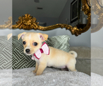 Image preview for Ad Listing. Nickname: Goldie