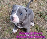 Image preview for Ad Listing. Nickname: Pink Female