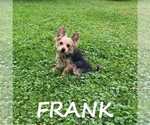 Image preview for Ad Listing. Nickname: Frank