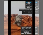 Image preview for Ad Listing. Nickname: Dean