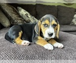 Image preview for Ad Listing. Nickname: Jordy