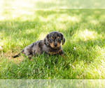 Image preview for Ad Listing. Nickname: Olivia