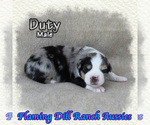 Image preview for Ad Listing. Nickname: Duty