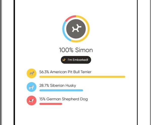 Medium Photo #4 Gerberian Shepsky Puppy For Sale in White Bluff, TN, USA