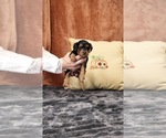  - Photo #4