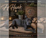 Small #1 American Staffordshire Terrier