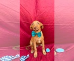 Small #2 Breeder Profile image