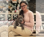 Puppy Salmon Collar American Bully
