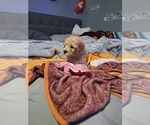  - Photo #8