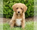 Image preview for Ad Listing. Nickname: Shane