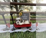 Image preview for Ad Listing. Nickname: Max