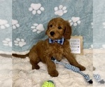 Image preview for Ad Listing. Nickname: Finn
