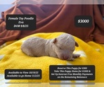 Image preview for Ad Listing. Nickname: Eva