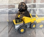 Image preview for Ad Listing. Nickname: Monty