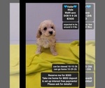 Image preview for Ad Listing. Nickname: Vader