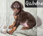Image preview for Ad Listing. Nickname: Gabe