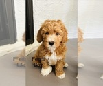 Image preview for Ad Listing. Nickname: Fendi