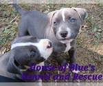Image preview for Ad Listing. Nickname: Purple Female