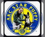 Small Photo #17 Border Collie-Unknown Mix Puppy For Sale in Highland, IL, USA