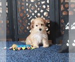 Small #2 Yo-Chon
