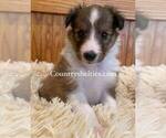 Image preview for Ad Listing. Nickname: Sable White Gir