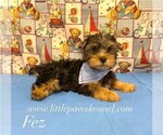 Image preview for Ad Listing. Nickname: Mr Fez