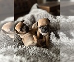 Small Chug